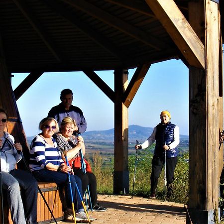 Hegyaljai Panoráma Vendégház Szerencs Esterno foto