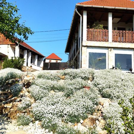 Hegyaljai Panoráma Vendégház Szerencs Esterno foto