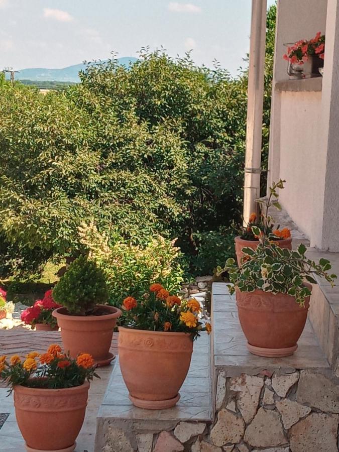 Hegyaljai Panoráma Vendégház Szerencs Esterno foto