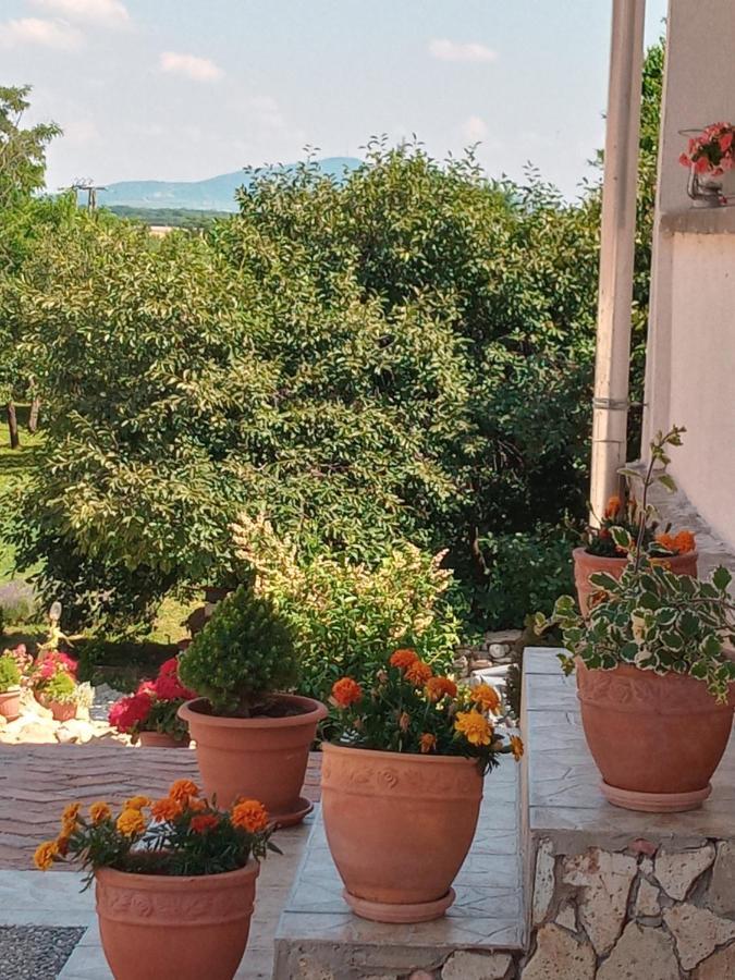 Hegyaljai Panoráma Vendégház Szerencs Esterno foto