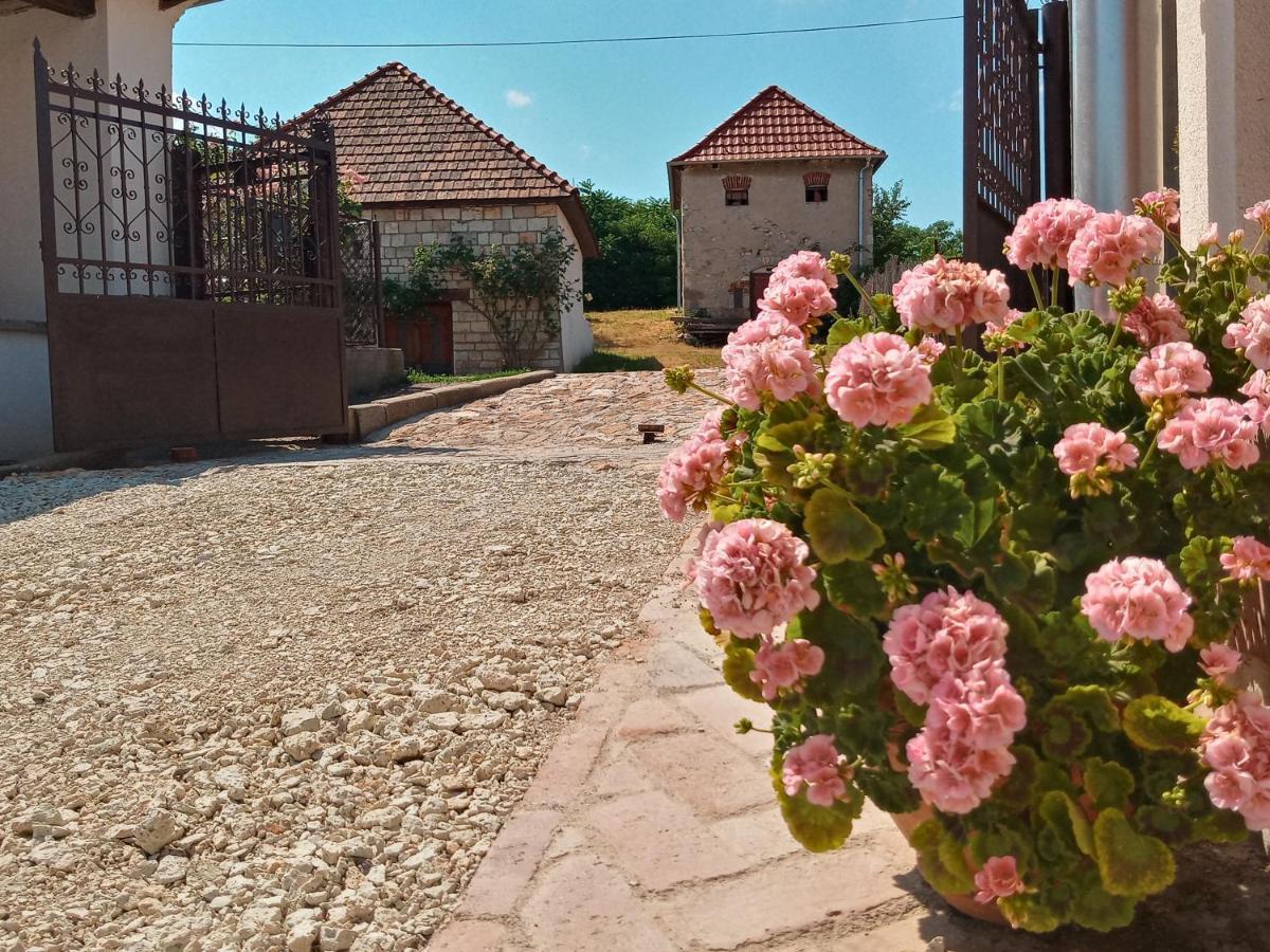 Hegyaljai Panoráma Vendégház Szerencs Esterno foto