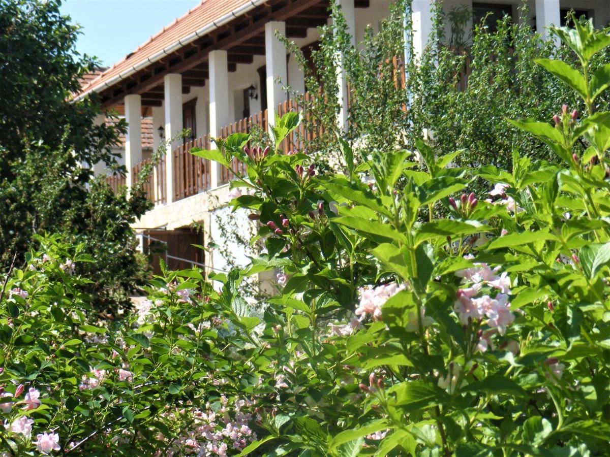 Hegyaljai Panoráma Vendégház Szerencs Esterno foto