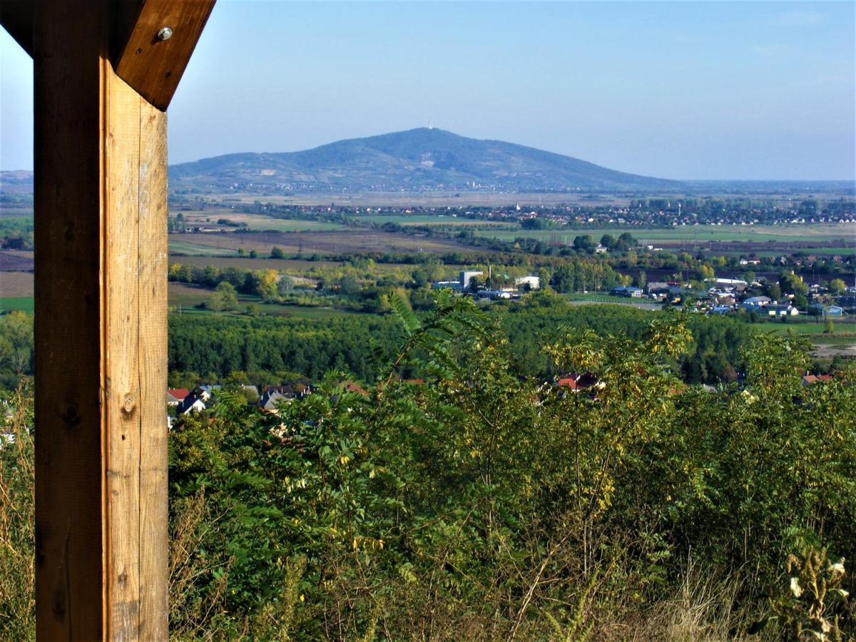 Hegyaljai Panoráma Vendégház Szerencs Esterno foto