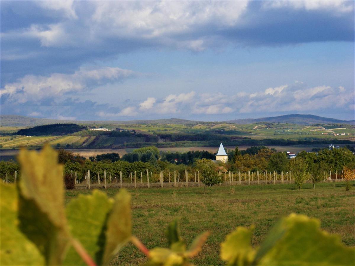 Hegyaljai Panoráma Vendégház Szerencs Esterno foto