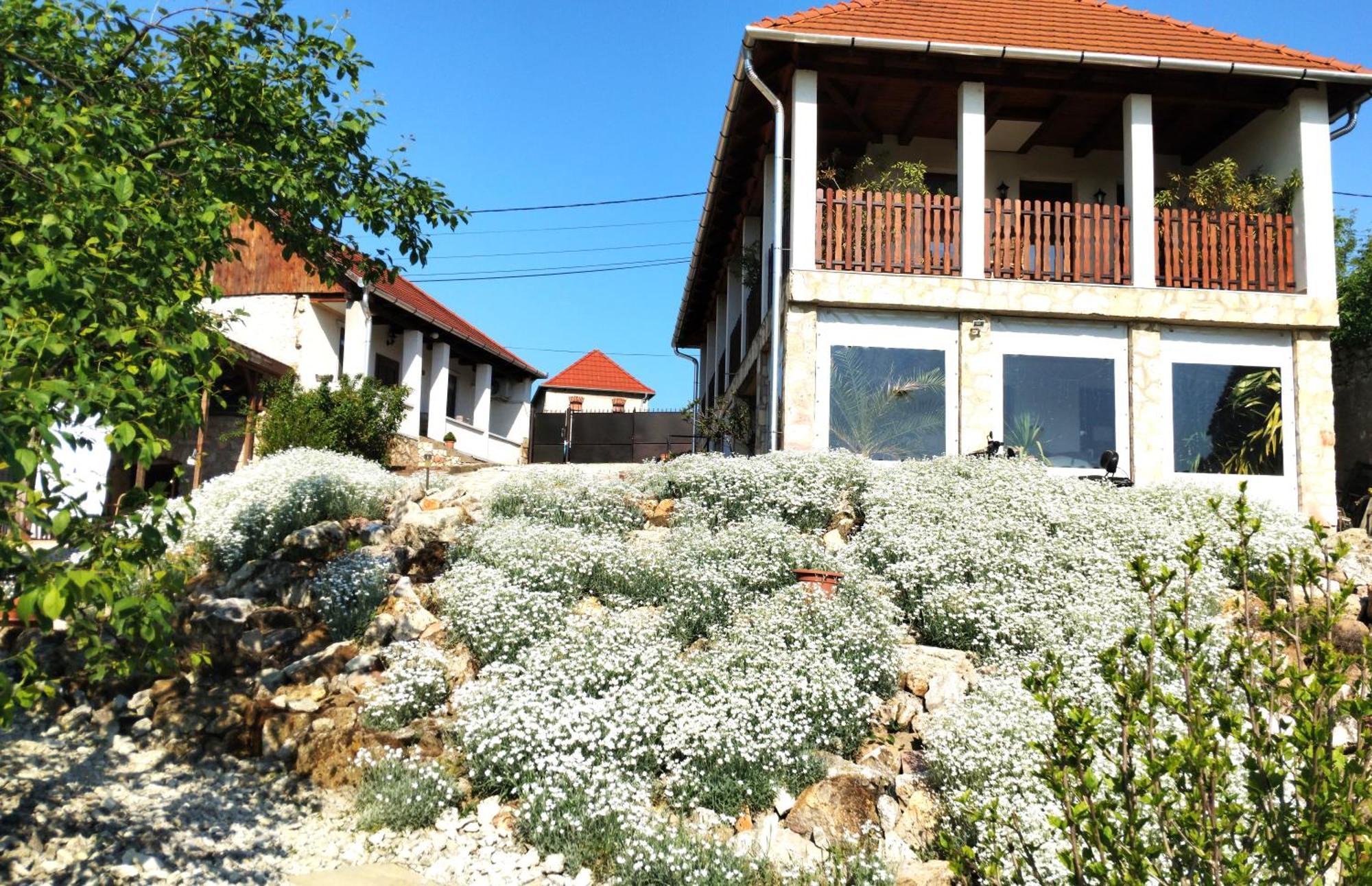 Hegyaljai Panoráma Vendégház Szerencs Esterno foto